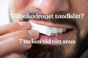 Man placerar vitt snus under överläppen nära tandköttet för att illustrera lokal påverkan och risk för tillbakadraget tandkött.